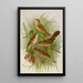 Acrocephalus agricolus Jardon Cettia cetti Marm Locustella lanceolata - Johann Friedrich Naumann — quadro incorniciato alla parete