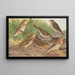 Anthus trivialis pratensis Richardi Vieillot cervinus pensilvanicus - Johann Friedrich Naumann — quadro incorniciato alla parete