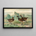 Branta bernicla - Johann Friedrich Naumann — quadro incorniciato alla parete