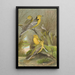 Budytes citreolus Budytes campestris - Johann Friedrich Naumann — quadro incorniciato alla parete