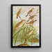 Calamodus schoenobaenus aquaticus arundinaceus - Johann Friedrich Naumann — quadro incorniciato alla parete