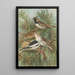 Calcarius lapponicus Plectrophenax nivalis - Johann Friedrich Naumann — quadro incorniciato alla parete