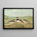 Charadrius hiaticula - Johann Friedrich Naumann — quadro incorniciato alla parete