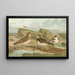 Charadrius morinellus Arenaria interpres Charadrius alexandrinus - Johann Friedrich Naumann — quadro incorniciato alla parete