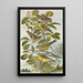 Chrysomitris spinus Chrysomitris citrinella Chrysomitris corsicanus - Johann Friedrich Naumann — quadro incorniciato alla parete