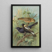 Dolichonyx oryzivorus Molothrus Cabanisii Cassin - Johann Friedrich Naumann — quadro incorniciato alla parete