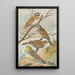 Emberiza leucocephala Gmel Emberiza cia Emberiza cinerea Strickl - Johann Friedrich Naumann — quadro incorniciato alla parete