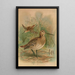 Gallinago major - Johann Friedrich Naumann | Reproduction — quadro incorniciato alla parete