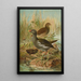 Gallinula chloropus - Johann Friedrich Naumann — quadro incorniciato alla parete