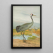 Grus grus - Johann Friedrich Naumann — quadro incorniciato alla parete