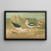 Himantopus himantopus Recurvirostra avocetta - Johann Friedrich Naumann — quadro incorniciato alla parete