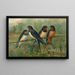 Hirundo rustica Hirundo rustica Savignii - Johann Friedrich Naumann — quadro incorniciato alla parete