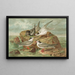 Hydrochelidon fissipes, Hydrochelidon hybrida, Hydrochelidon nigra - Johann Friedrich Naumann — quadro incorniciato alla parete