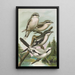Lanius excubitor borealis Lanius meridionalis Lanius excubitor Homeyeri - Johann Friedrich Naumann — quadro incorniciato alla parete