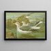 Gabbiano reale argentato Brunn - Johann Friedrich Naumann — quadro incorniciato alla parete
