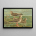 Larus fuscus Larus marinus Larus glaucus Brünn - Johann Friedrich Naumann — quadro incorniciato alla parete