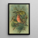 Loxia pityopsittacus Bechst - Johann Friedrich Naumann — quadro incorniciato alla parete