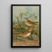 Melanocorypha calandra Lullula arborea - Johann Friedrich Naumann — quadro incorniciato alla parete
