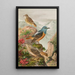 Monticola saxatilis - Johann Friedrich Naumann — quadro incorniciato alla parete