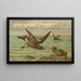 Oceanodroma leucorrhoa Vieill Gabbiano dalla coda biforcuta - Johann Friedrich Naumann — quadro incorniciato alla parete