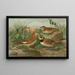 Otocorys alpestris L Melanocorypha sibirica - Johann Friedrich Naumann — quadro incorniciato alla parete