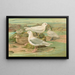 Pagophila eburnea, Phipps, Larus leucopterus, Faber - Johann Friedrich Naumann — quadro incorniciato alla parete