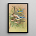 Parus coeruleus Aegithalus caudatus caudatus vagans caudatus Irbyi Parus cyanus Pall - Johann Friedrich Naumann — quadro incorniciato alla parete