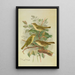 Phylloscopus viridanus nitidus borealis - Johann Friedrich Naumann — quadro incorniciato alla parete