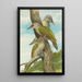 Picus canus - Johann Friedrich Naumann — quadro incorniciato alla parete