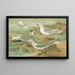 Rhodostethia rosea Xema Sabinei Sab Rissa tridactyla Larus leucopterus Faber - Johann Friedrich Naumann — quadro incorniciato alla parete