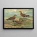 Stercorarius parasiticus Stercorarius pomarinus Grand labbe Stercorarius longicaudus Vieill - Johann Friedrich Naumann — quadro incorniciato alla parete