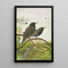 Sturnus vulgaris - Johann Friedrich Naumann — quadro incorniciato alla parete