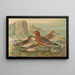 Tringa canutus Tringa maritima - Johann Friedrich Naumann — quadro incorniciato alla parete