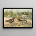 Vanellus gregarius Pall Charadrius dominicus St Muller - Johann Friedrich Naumann — quadro incorniciato alla parete