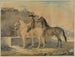 Cavaliere con due cavalli al pozzo - Johann Georg Pforr — vista dell’opera