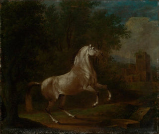 Cavallo bianco in sella - Johann Georg Pforr — vista dell’opera