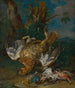 Natura morta con un gallo cedrone - Johann Georg de Hamilton — vista dell’opera