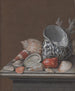 Nature morte aux coquillages - Johann Jacob Dietzsch — vista dell’opera