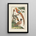 Physique - Johann Jacob Ebert — quadro incorniciato alla parete