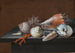Nature morte con conchiglie e corallo su un tavolo - Johann Jakob Dietzsch — vista dell’opera