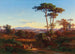 Vista di Roma dal Monte Mario - Johann Jakob Frey — vista dell’opera