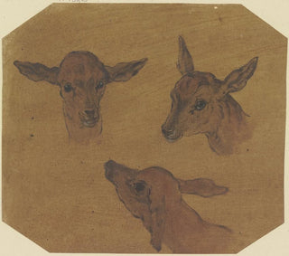 Johann Melchior Roos - Three doe heads.webp