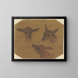 Johann Melchior Roos - Three doe heads.webp