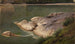Rive rocheuse - Johann Wilhelm Schirmer — vista dell’opera