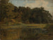 stagno boschivo - Johann Wilhelm Schirmer — vista dell’opera