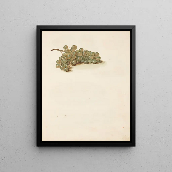 Studio di uva - Johanna Fosie — quadro incorniciato alla parete