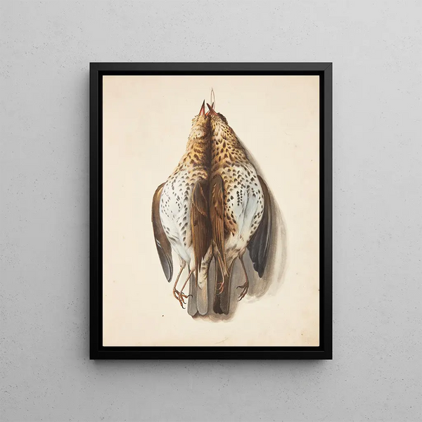 Studio di due tordi musicisti morti - Johanna Fosie — quadro incorniciato alla parete