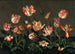Nature morte con tulipani - Johannes Bosschaert — vista dell’opera