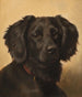 Setter nero - Johannes Christian Deiker — vista dell’opera
