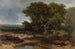 La Lande près de Wolfheze - Johannes Wernardus Bilders — vista dell’opera